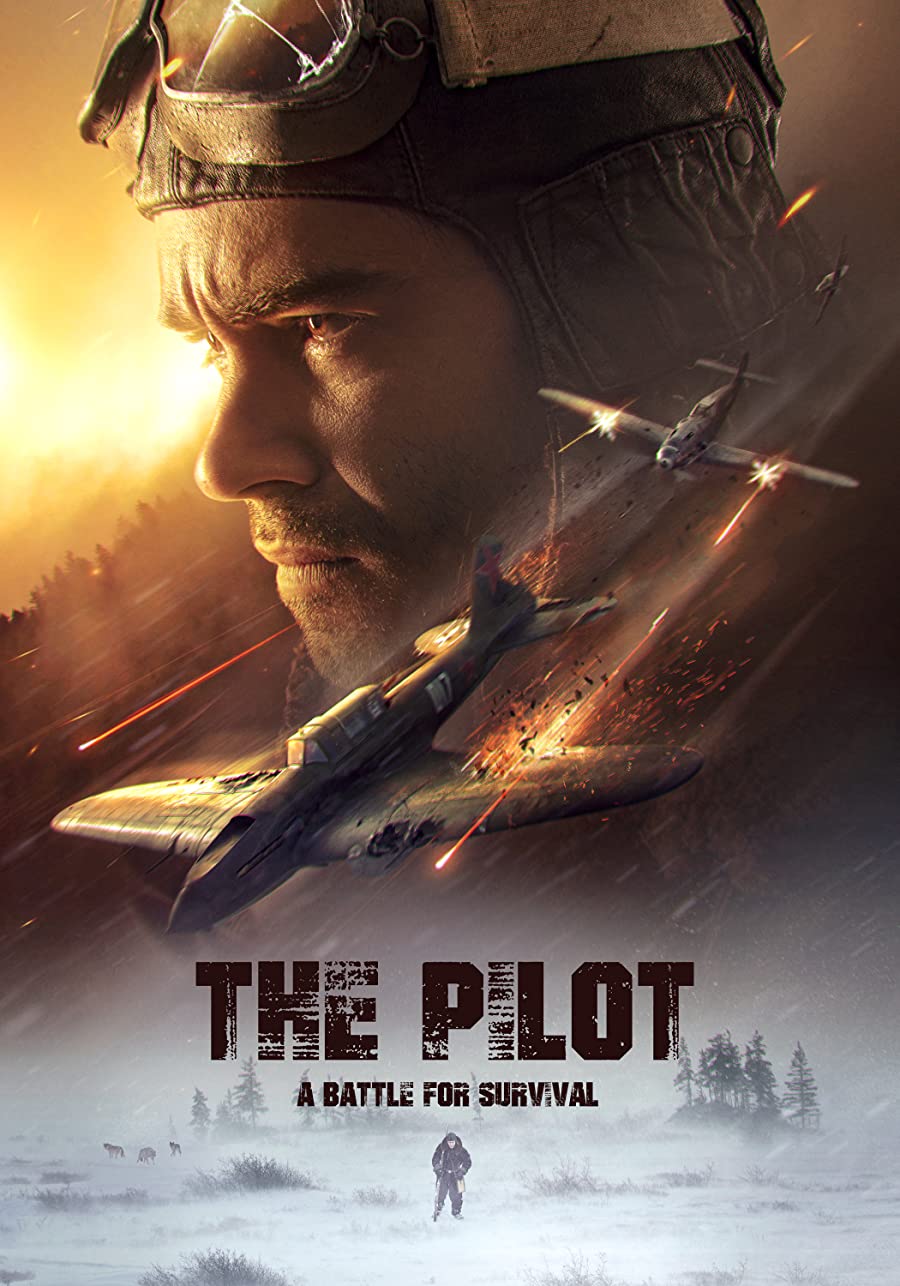 دانلود فیلم The Pilot. A Battle for Survival 2021 خلبان نبردی برای بقا با زیرنویس فارسی چسبیده