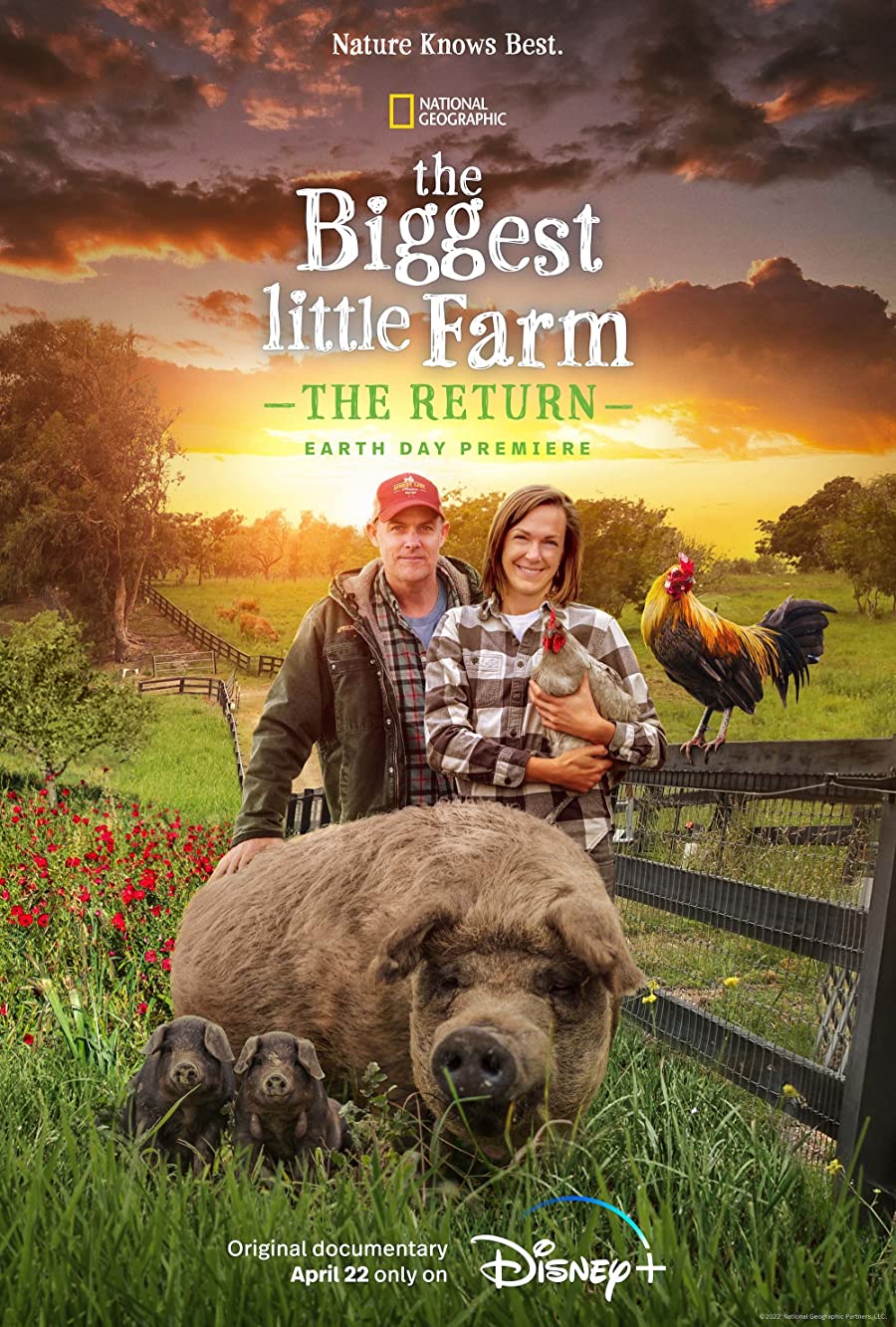 دانلود فیلم The Biggest Little Farm: The Return 2022 بزرگترین مزرعه کوچک: بازگشت با زیرنویس فارسی چسبیده