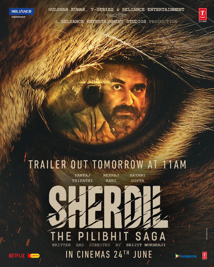 دانلود فیلم Sherdil 2022 شردیل (شیردل) با دوبله فارسی و زیرنویس فارسی چسبیده