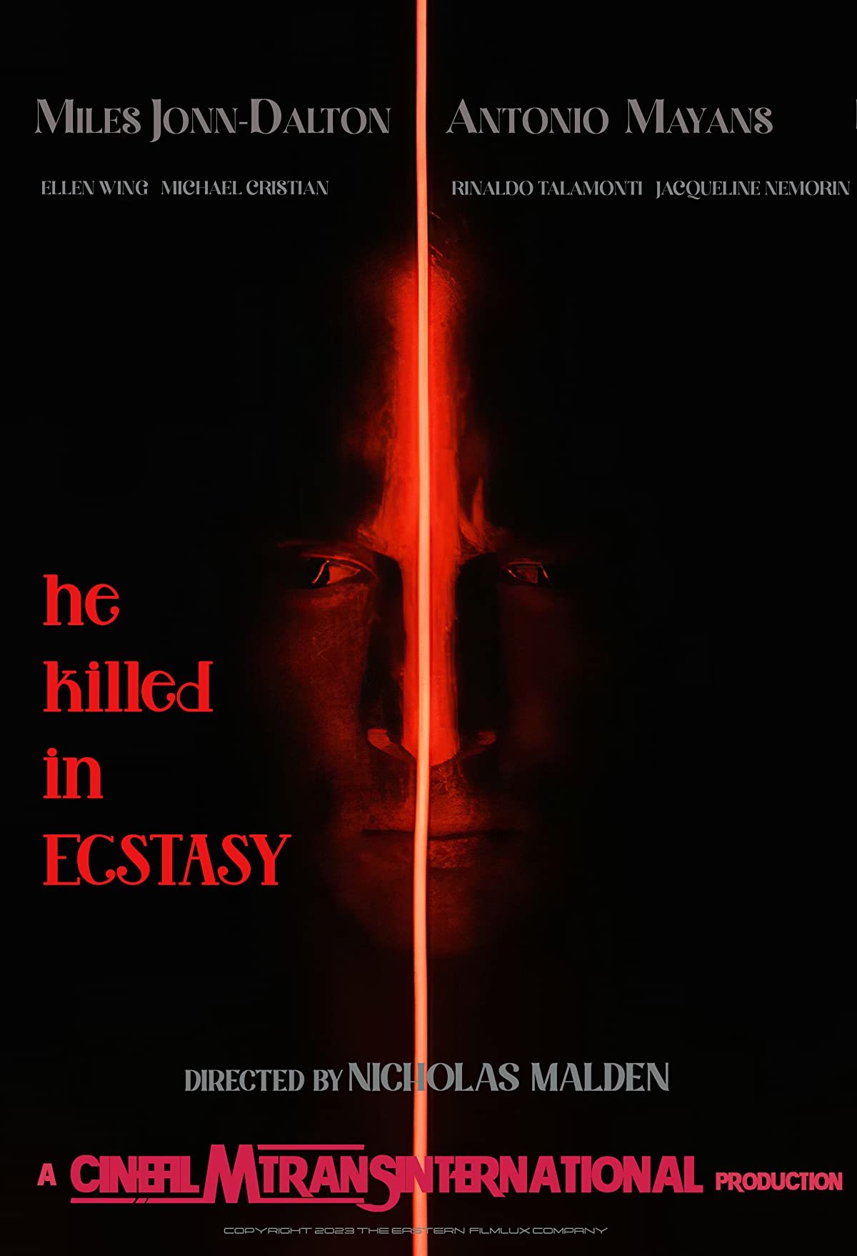دانلود فیلم He Killed in Ecstasy 2023 او در خلسه کشت با زیرنویس فارسی چسبیده