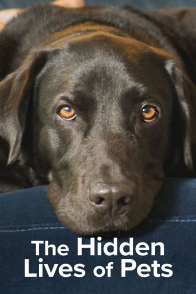 دانلود سریال The Hidden Lives of Pets 2022 زندگی‌ های پنهان حیوانات خانگی  ما فصل 1 قسمت 1 تا 4 با زیرنویس فارسی چسبیده