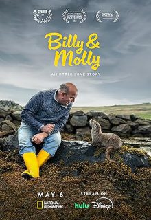 دانلود مستند بیلی و مولی داستان عشق سمور Billy and Molly An Otter Love Story 2024 با زیرنویس فارسی چسبیده